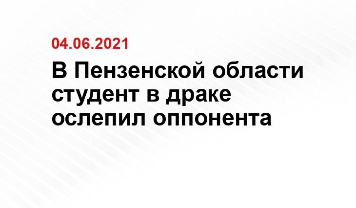 zen.yandex.ru