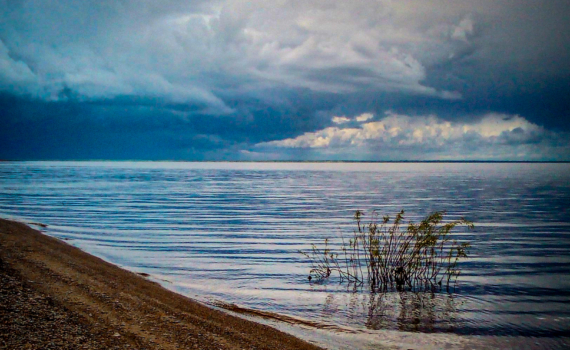 Ульяновская область приняла участие в создании новой композиции ко Дню народного единства проекта #МУЗЫКАВМЕСТЕ Ульяновская область приняла участие в создании новой композиции ко Дню народного единства проекта #МУЗЫКАВМЕСТЕ