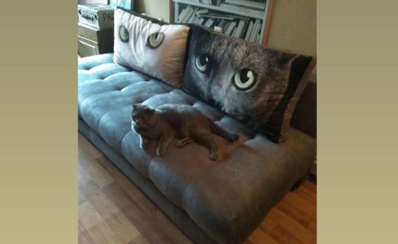 Как обновить интерьер без ремонта: 9 стильных предметов, которые меняют атмосферу комнаты Как обновить интерьер без ремонта: 9 стильных предметов, которые меняют атмосферу комнаты