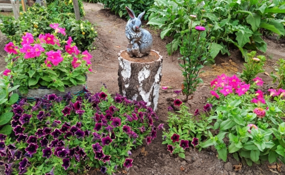 Апрель — переломный месяц: как пикировать петунию, чтобы к июню получить цветущий ковер Апрель — переломный месяц: как пикировать петунию, чтобы к июню получить цветущий ковер